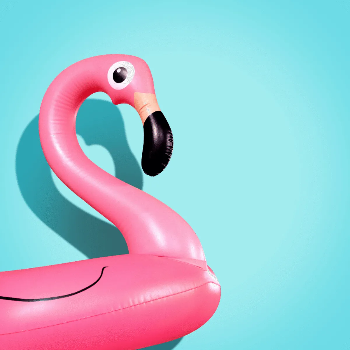 Flamingo floater