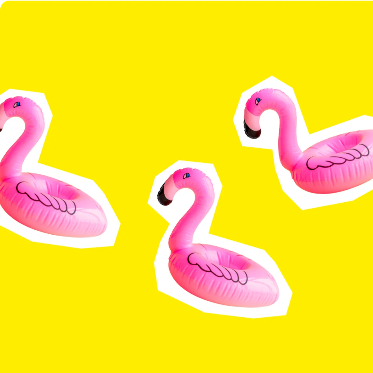 Thumbnail flamingo